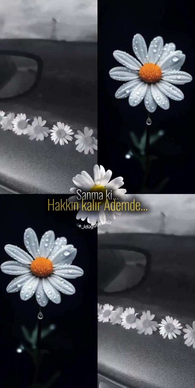@mavili781