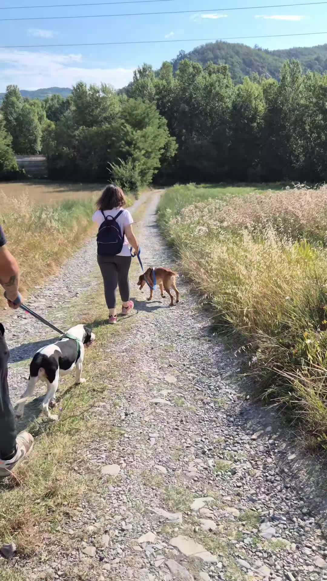 @KikiPetSitter&Photo