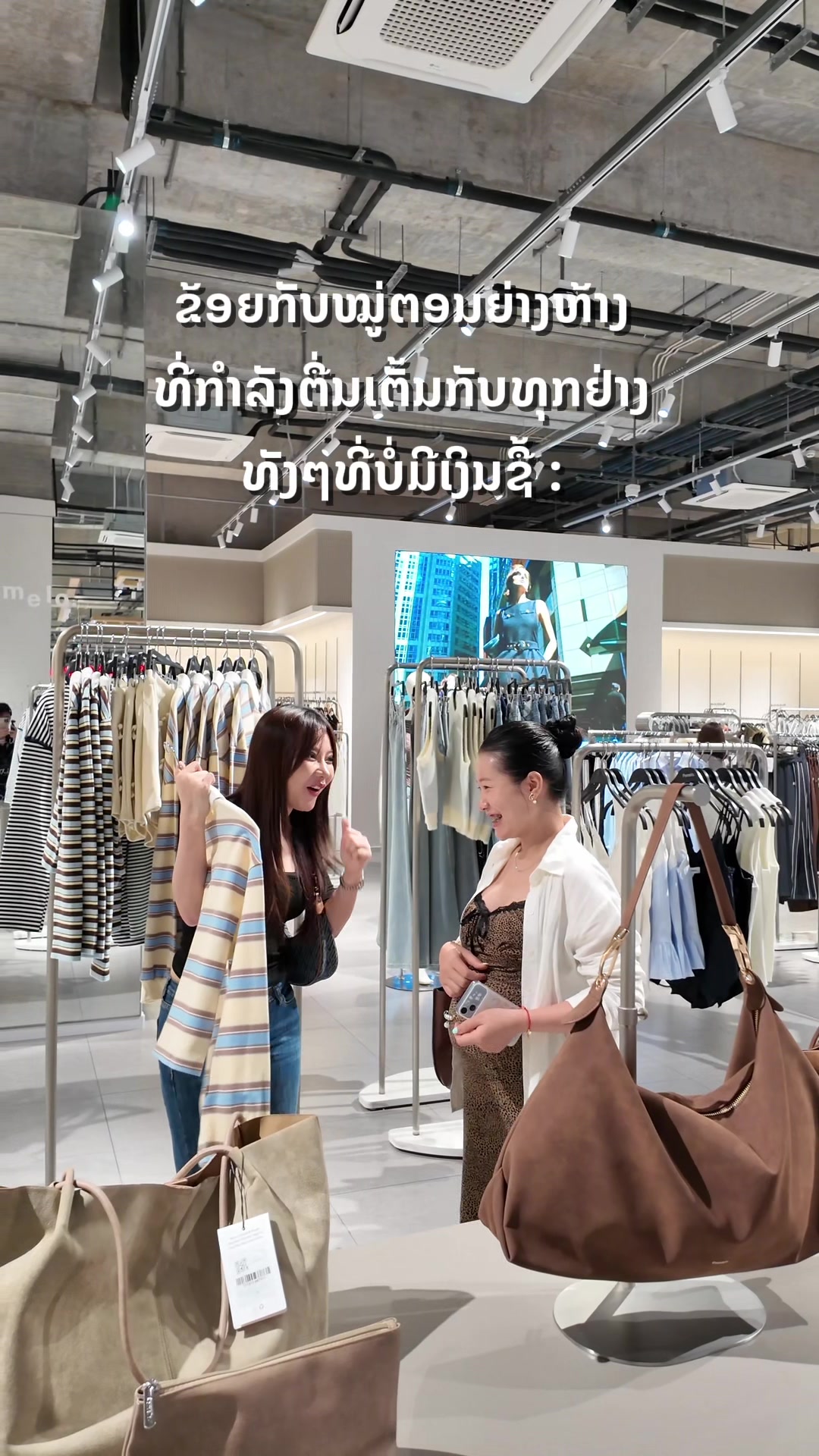 @CAT CAT ๐๏ธ