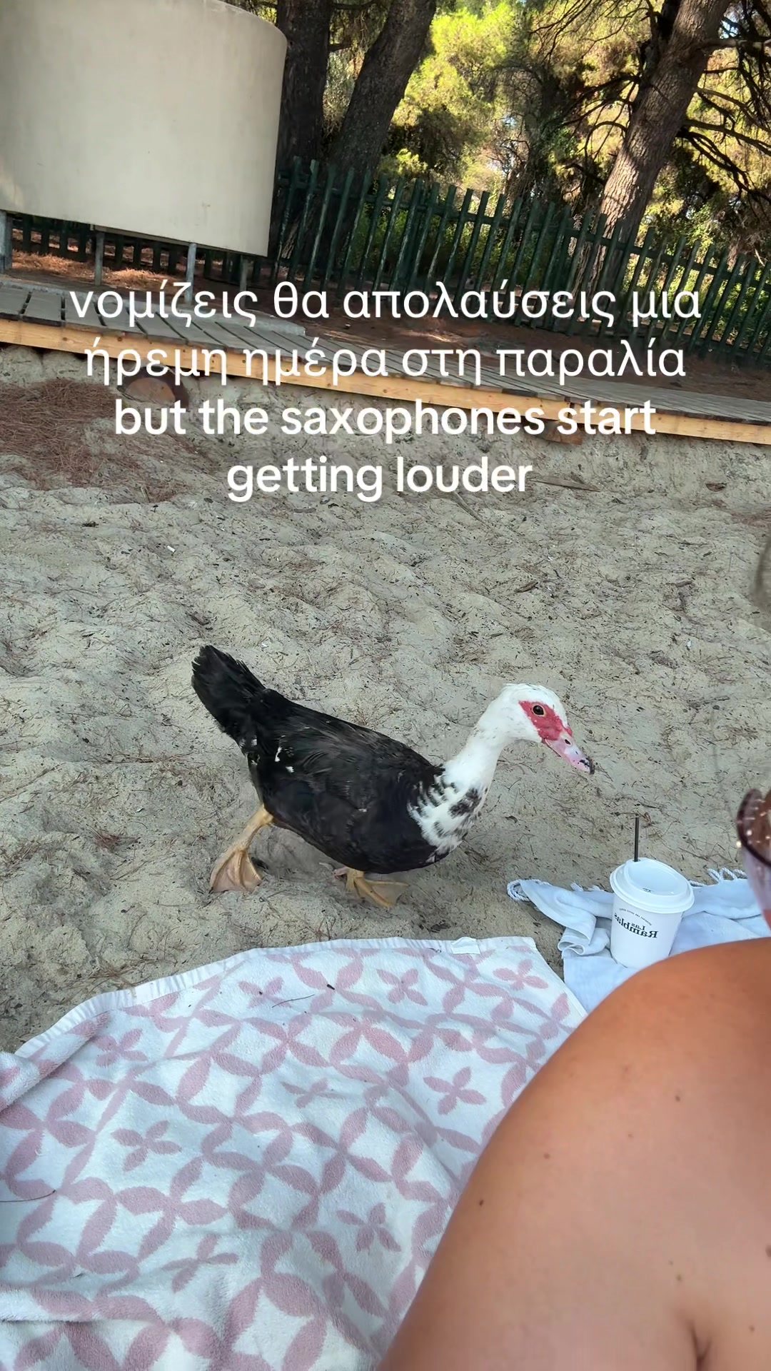 @Despina