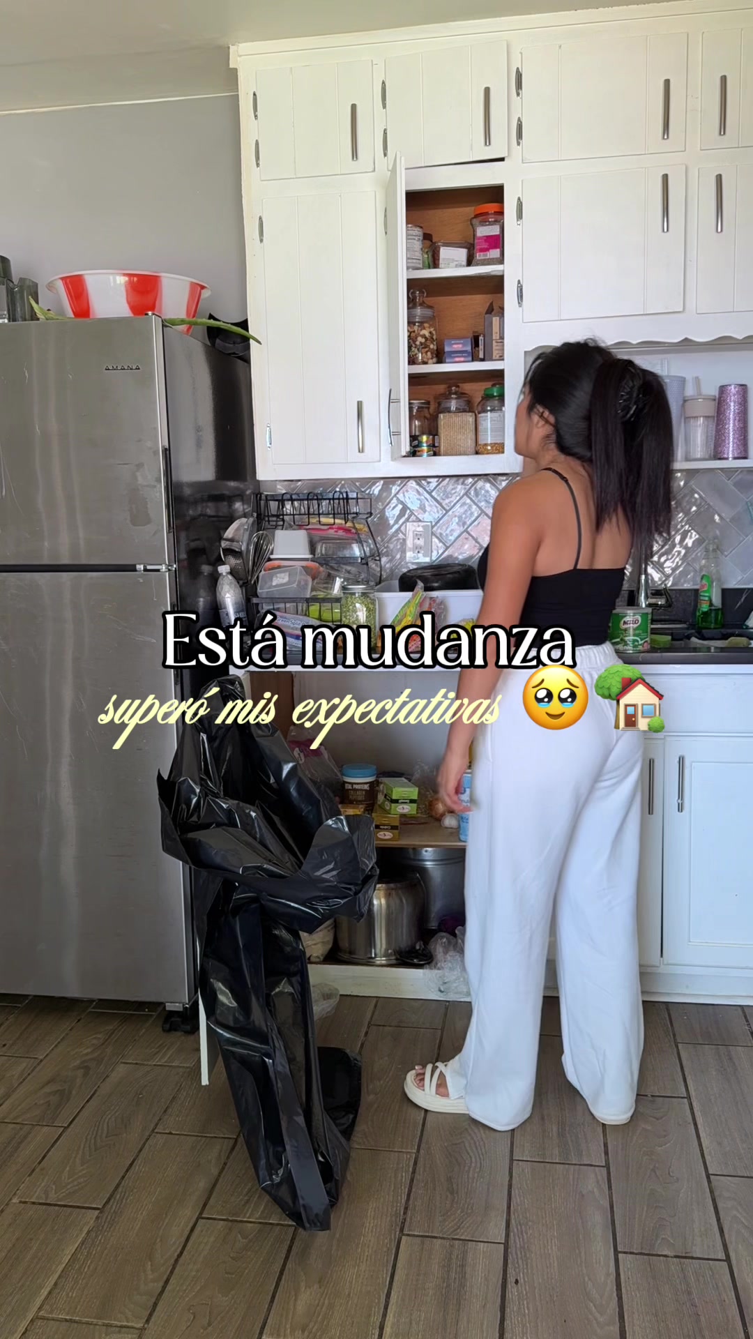 @Lisbeth Suasnabar | Mini vlogs