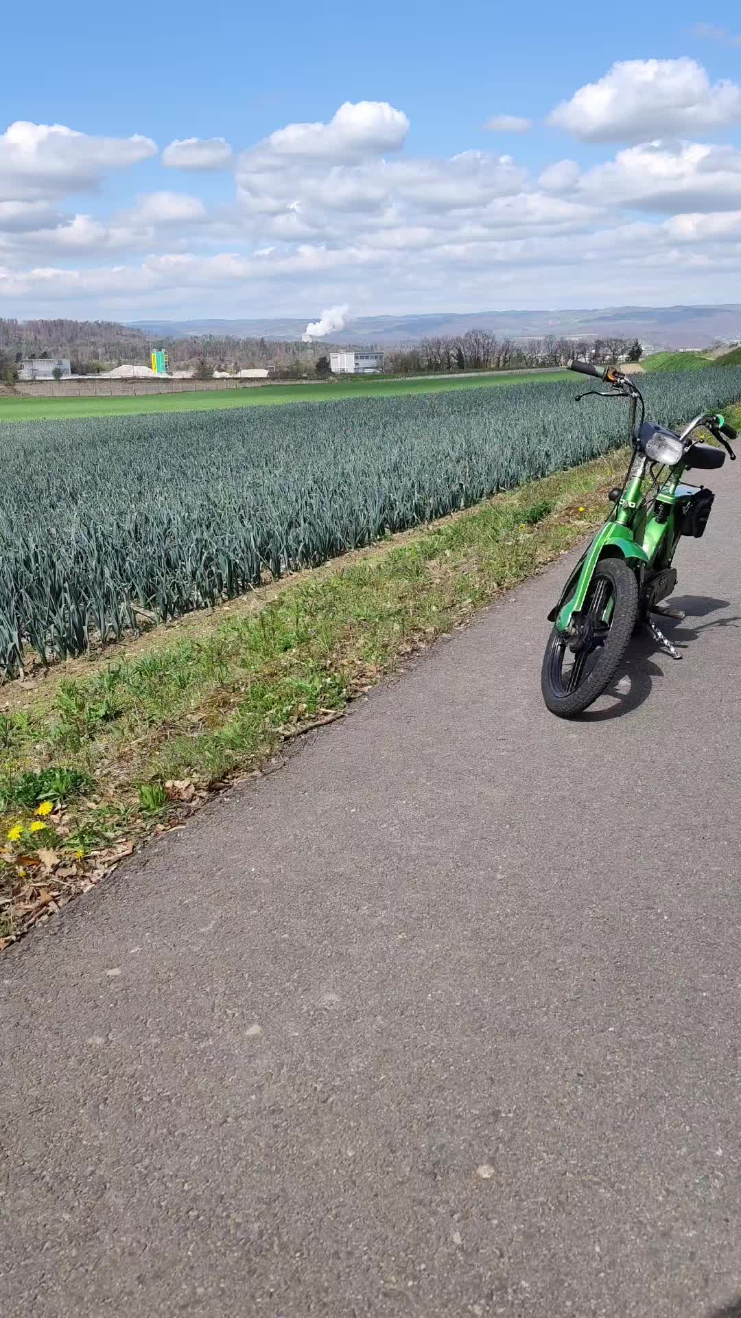 @2_stroke_Frosch🐸🟩🇨🇭