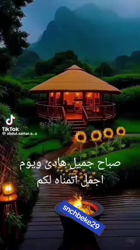 @Samir BRT 16