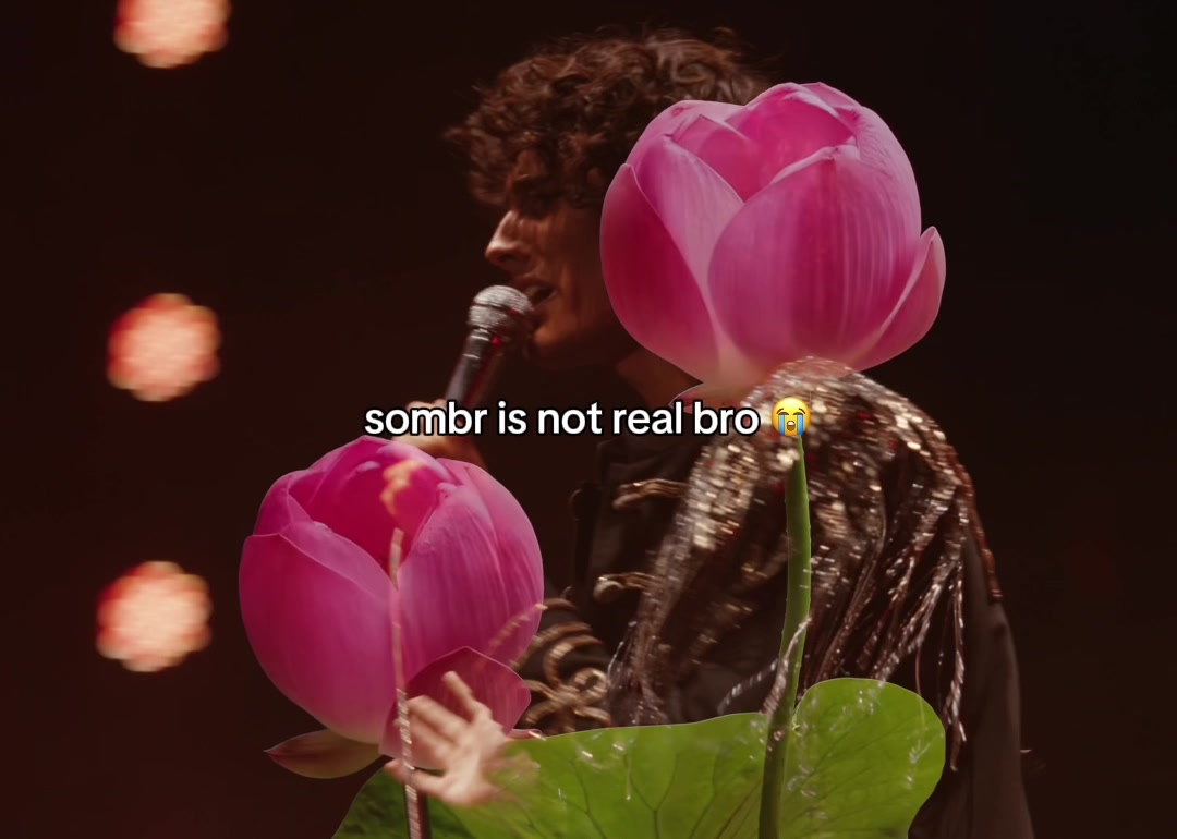 @sombr fans