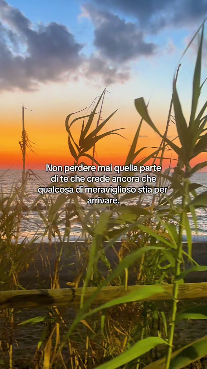 @carpediem_e.b. 🌅