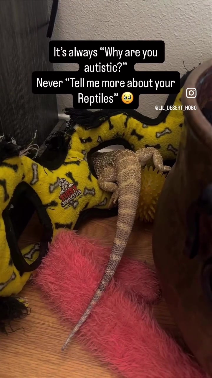 @Lil_desert_hobo