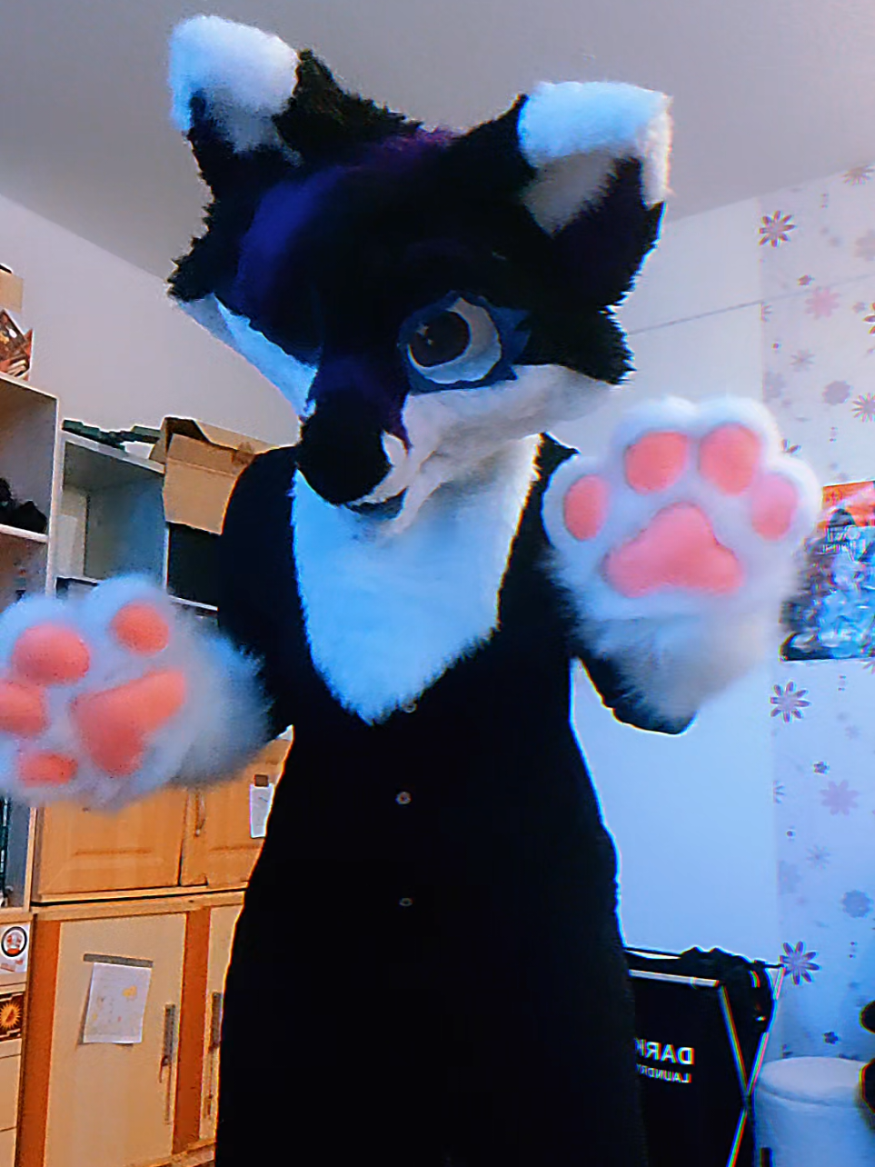 @&times;*Jasmin_Fox✨Wolf*&times;