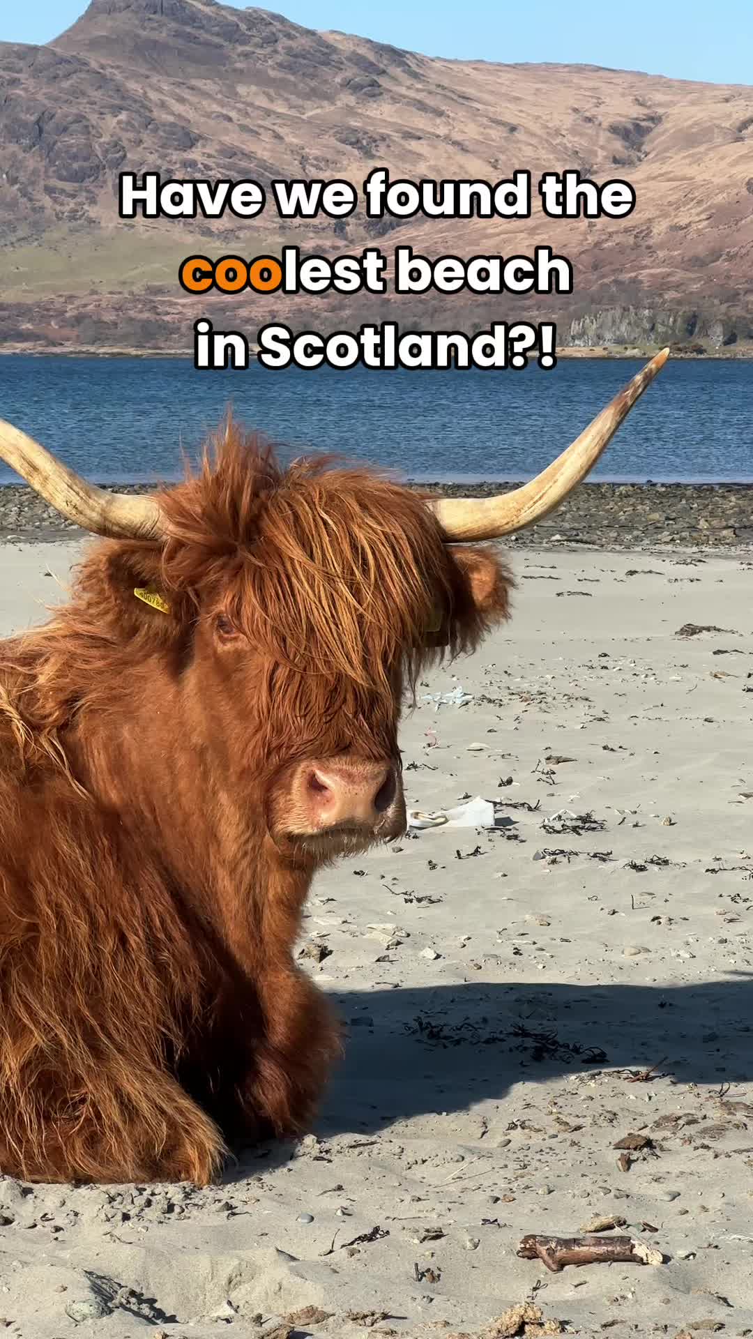 @VisitScotland