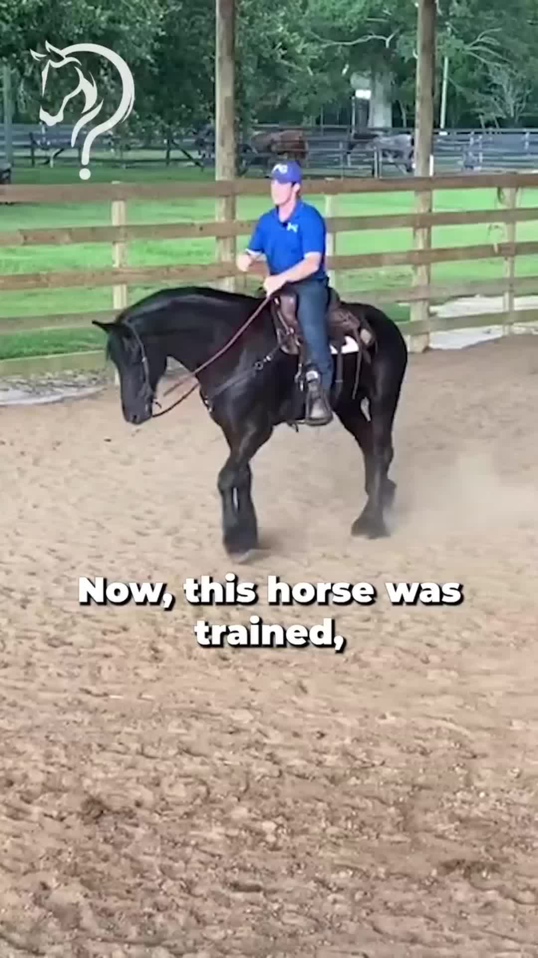 @Horse Help