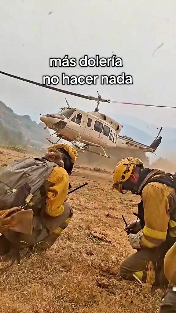 @Bombero Forestal