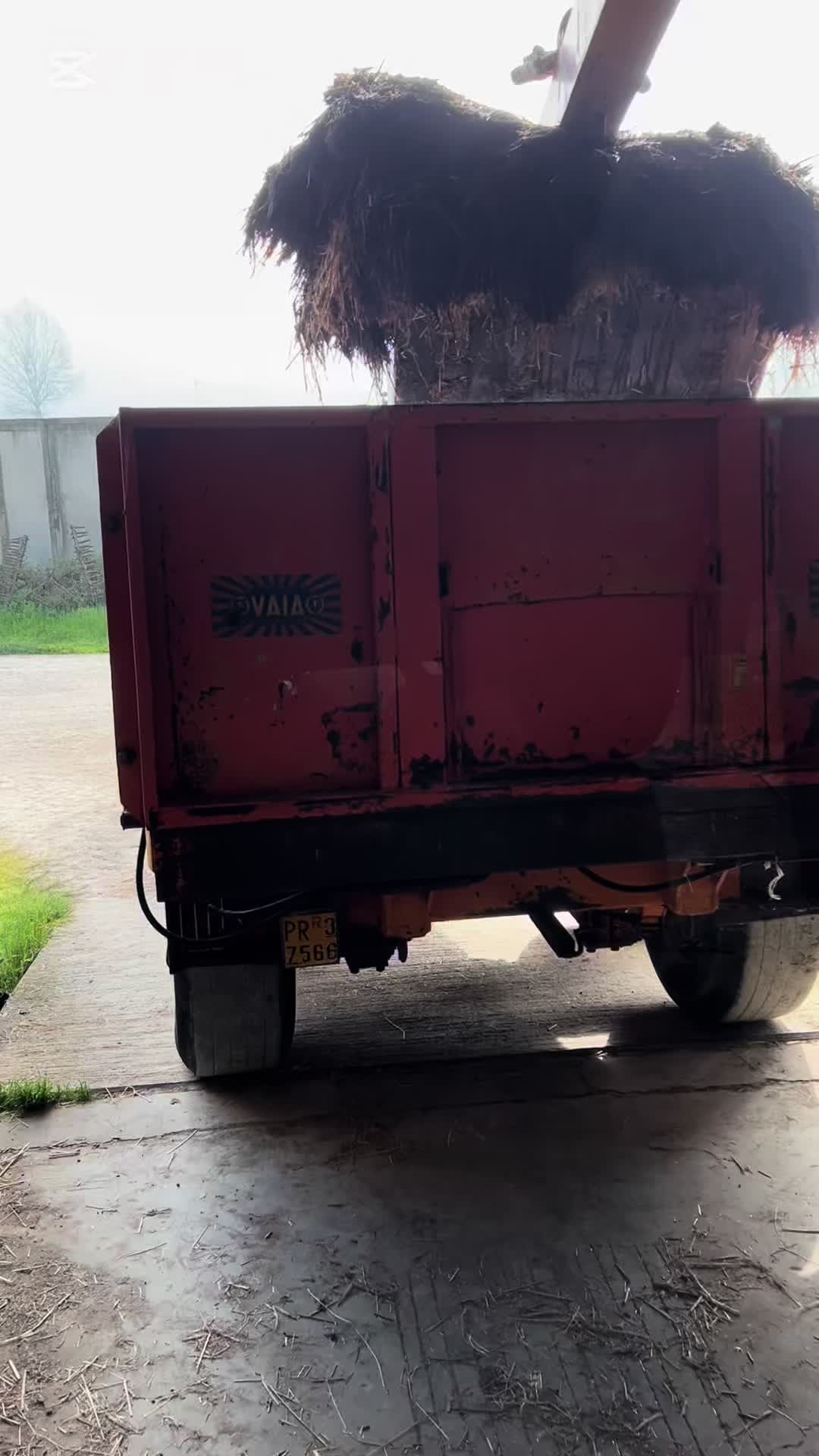 @Mirko Farmer