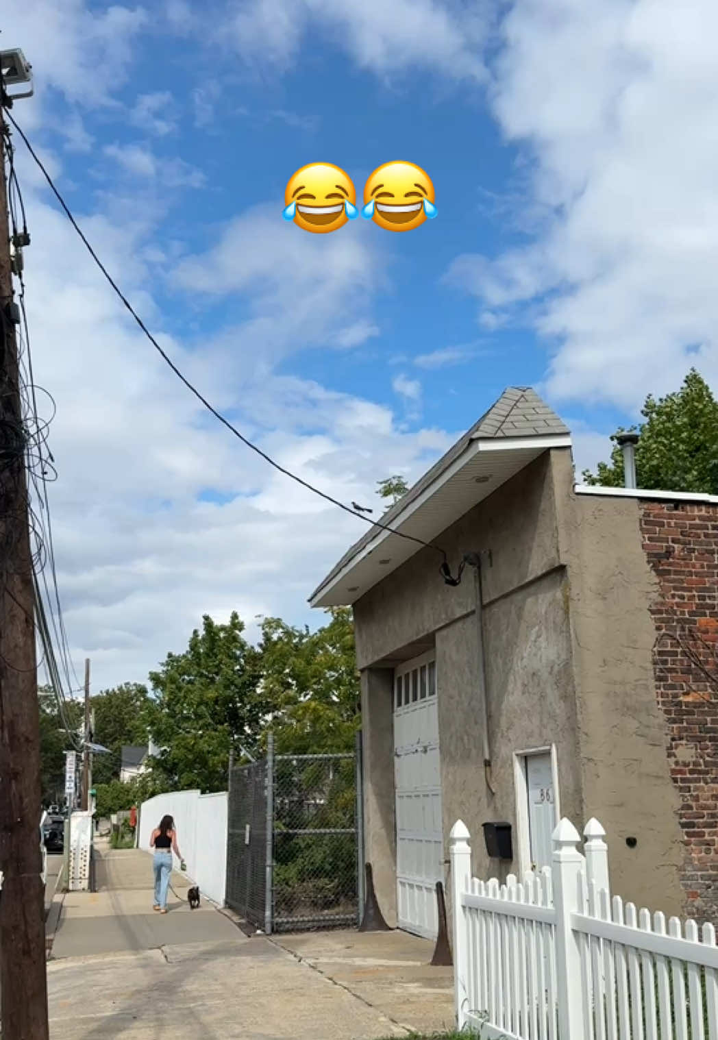 @Gonzalo Sans