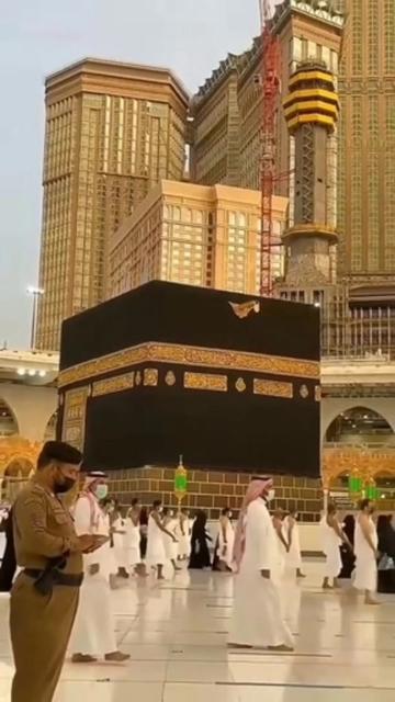 @Raja g ❤️❤️