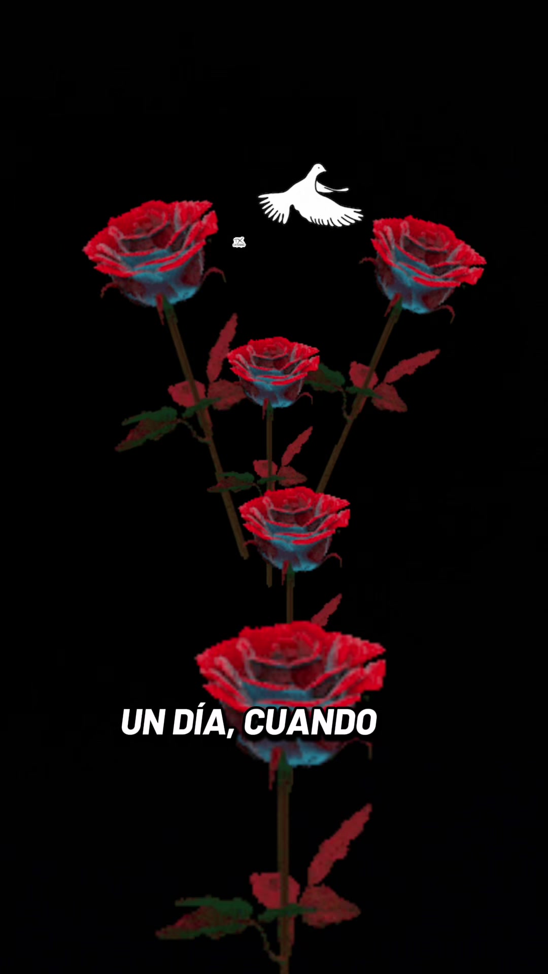@Ana😘😘😘🌺