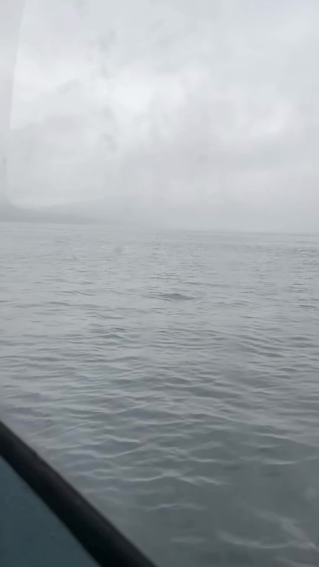 @Even 🇳🇴Svimevik🦋🍬