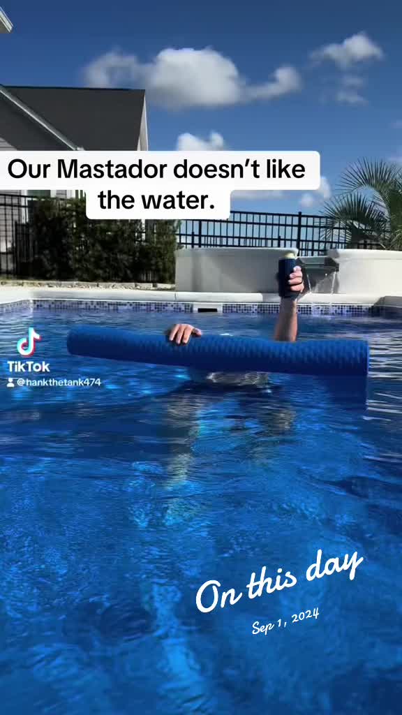 @HankTheTank