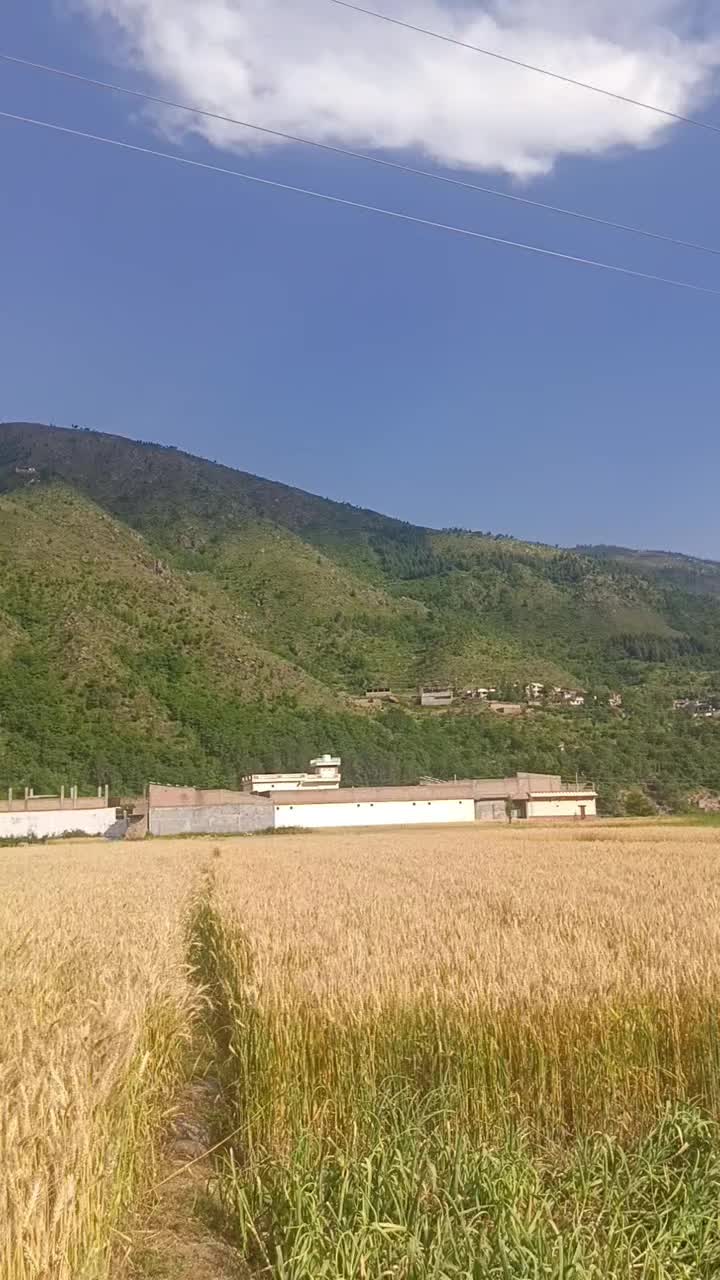@AKhondi