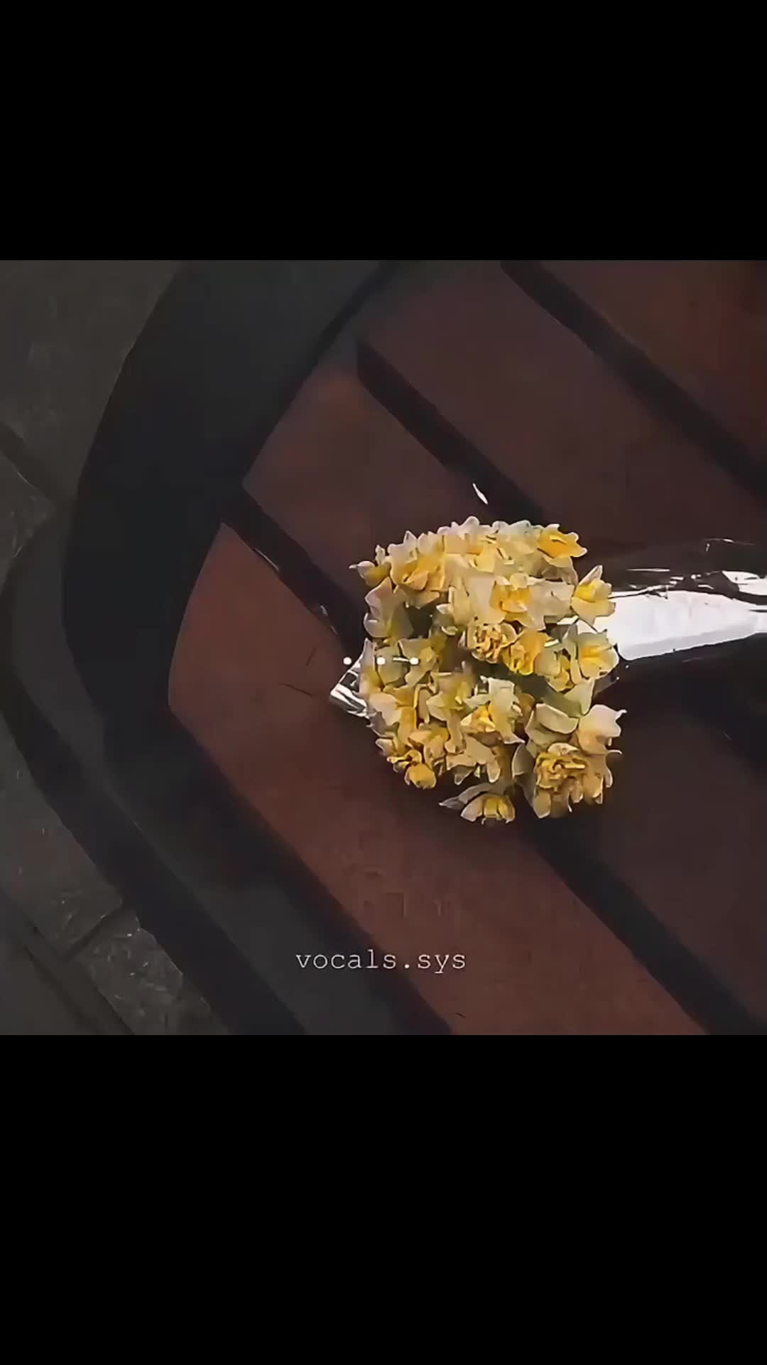 @𝙁𝙖𝙩𝙞𝙢𝙖 𝙡𝙮𝙧𝙞𝙘𝙨 👀