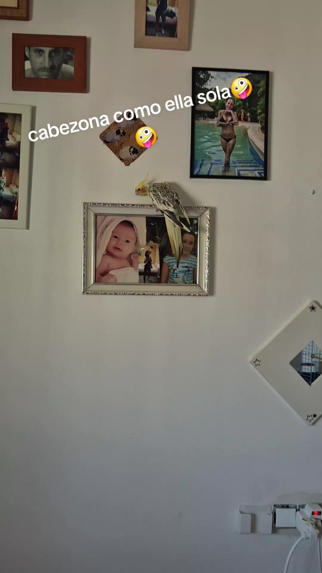 @Carmen Jimenez Juan
