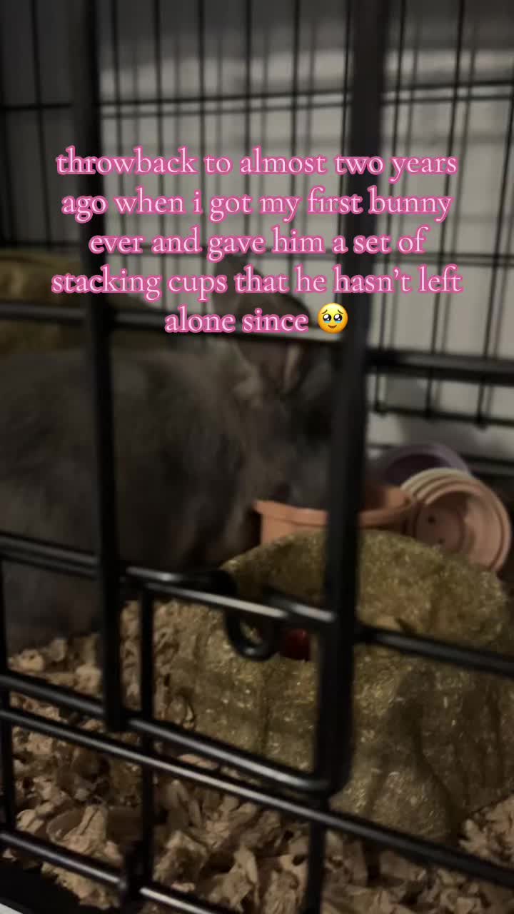 @bunbun & binky