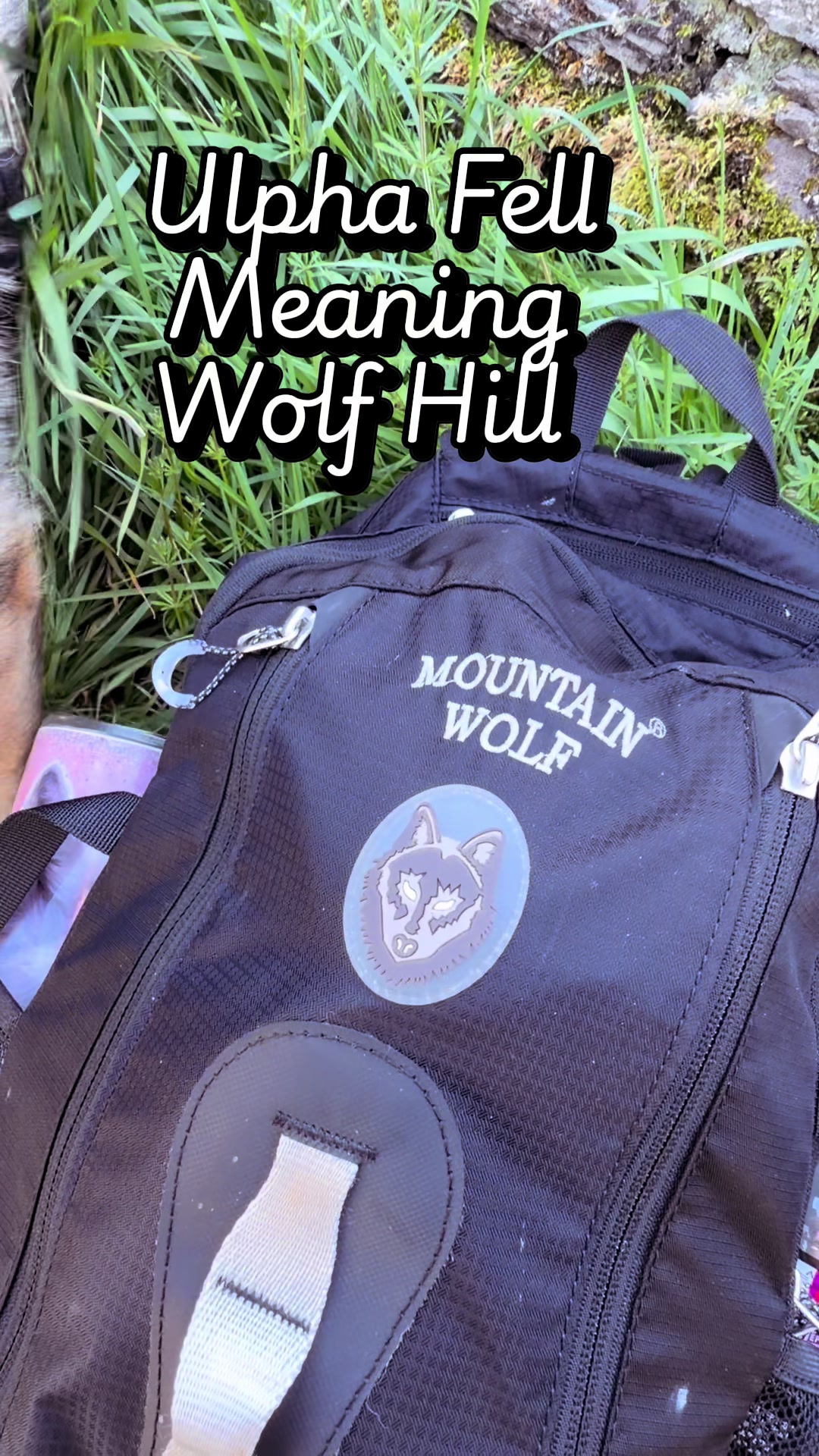 @Ellie&rsquo;s Wolf Travel 🐺