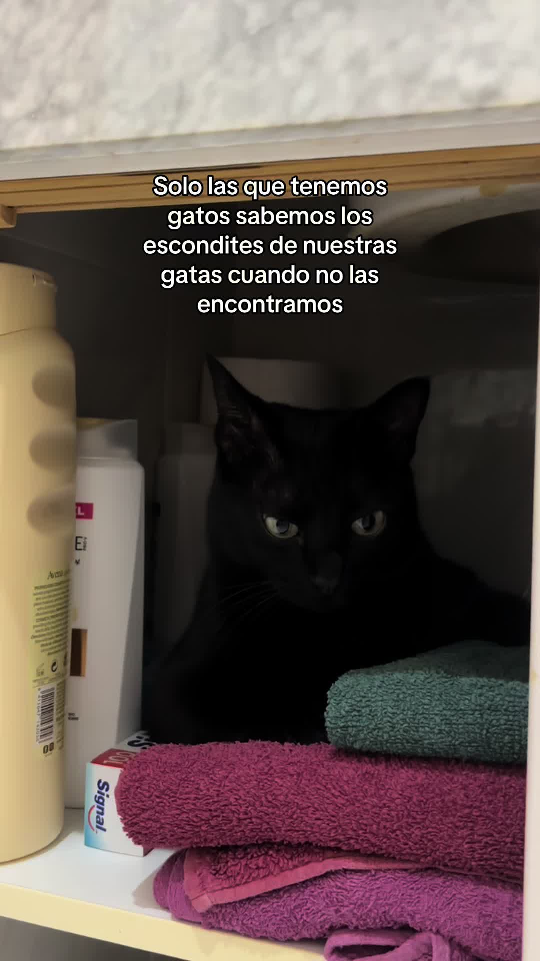 @BlackCatsMatter