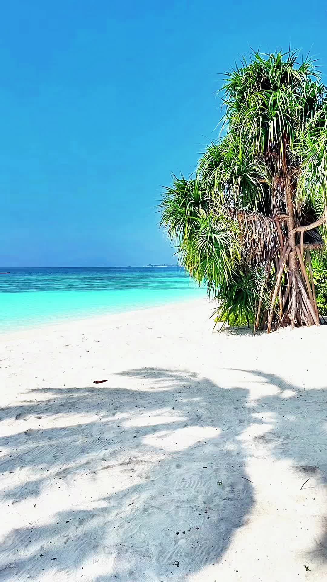 @LuxuryTravelAddict ๐๐