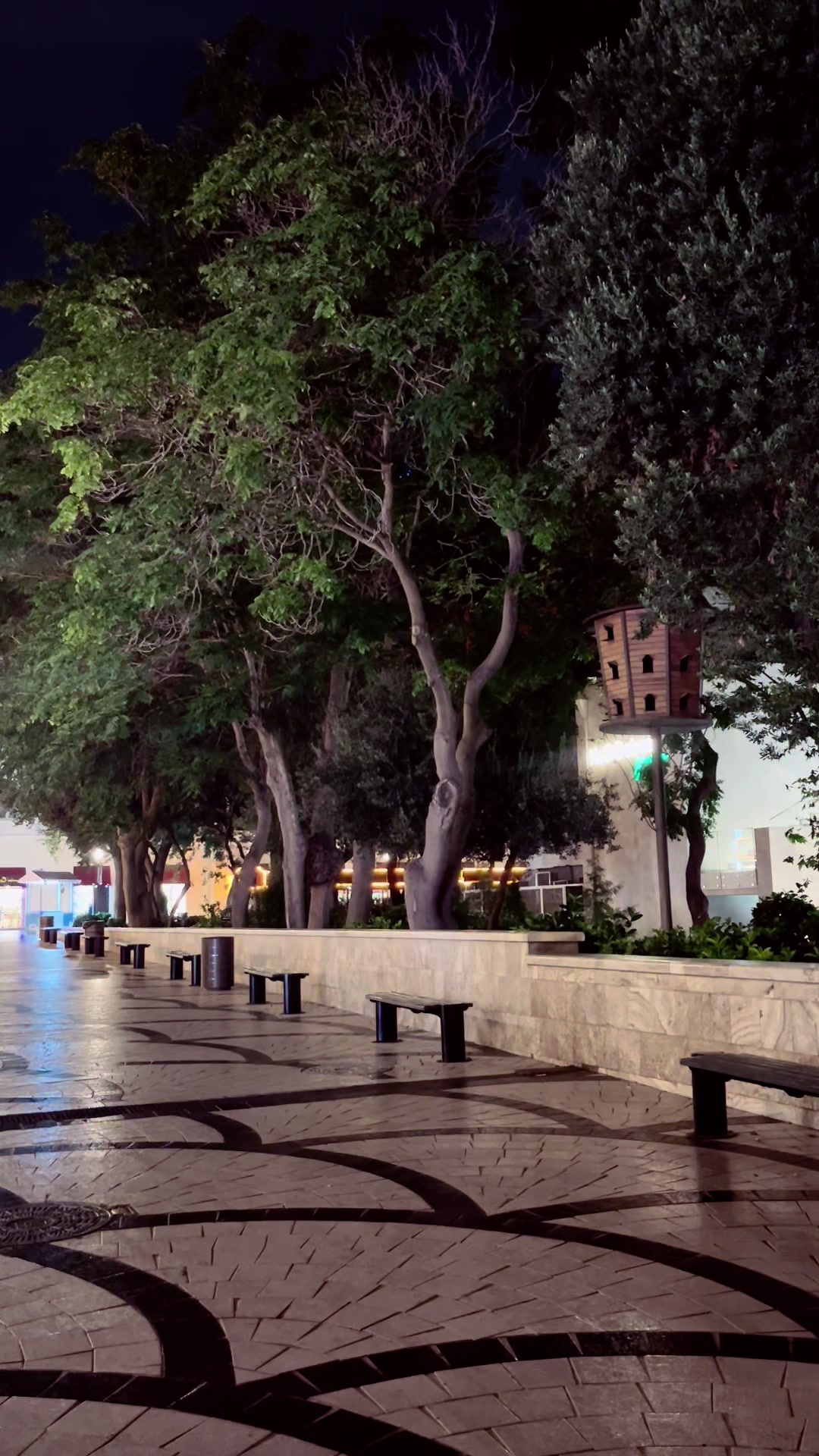 @💎 JAFAROVA 💎