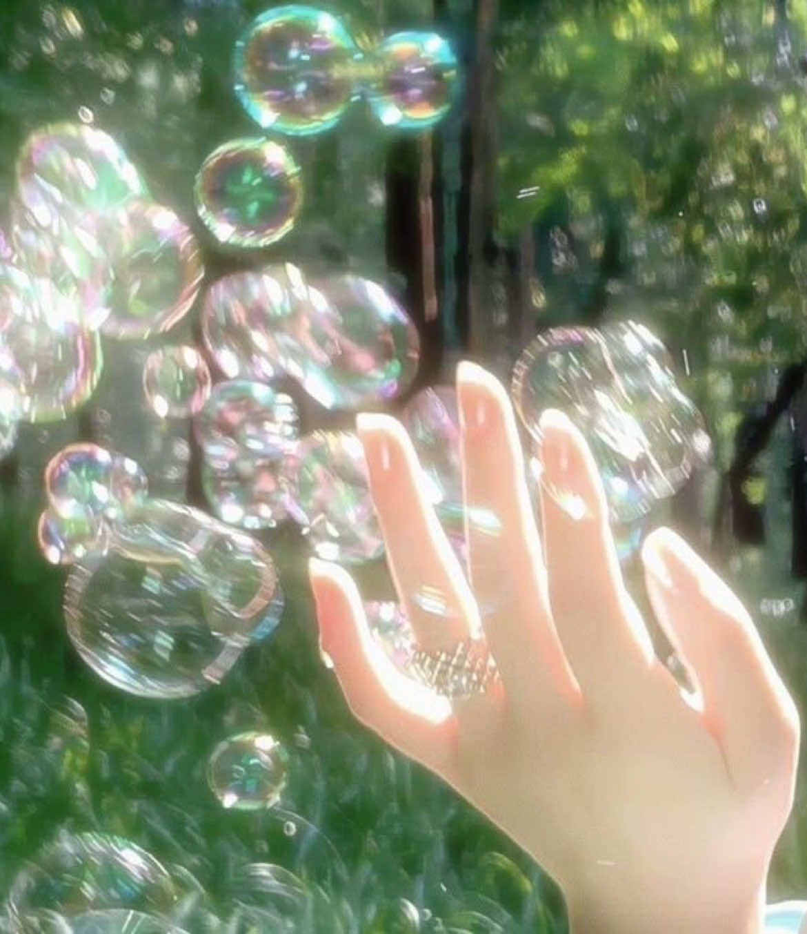 @✩•̩̩͙*˚𝙙𝙖𝙣𝙞˚*•̩̩͙✩•̩̩͙