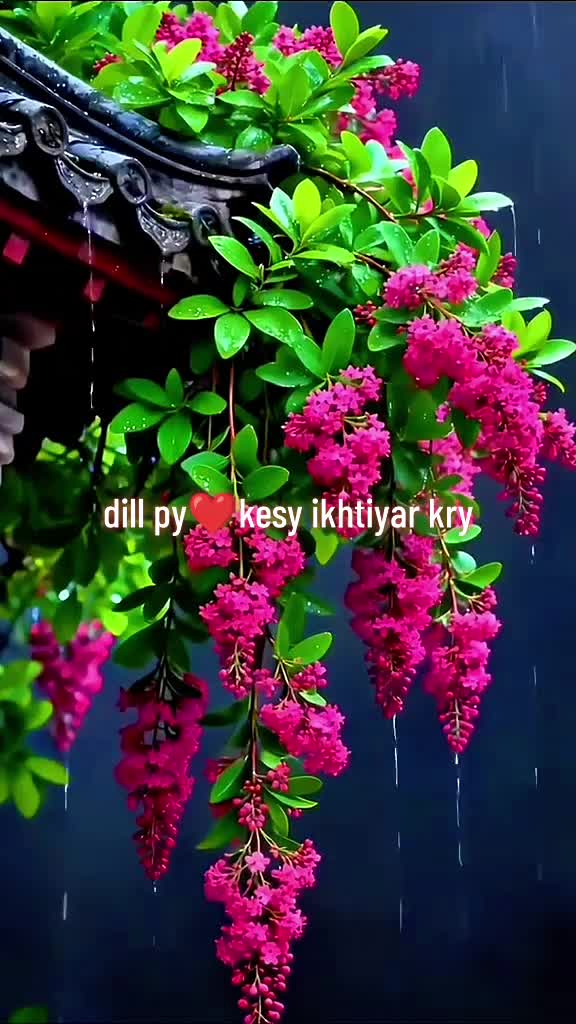 @Gohar