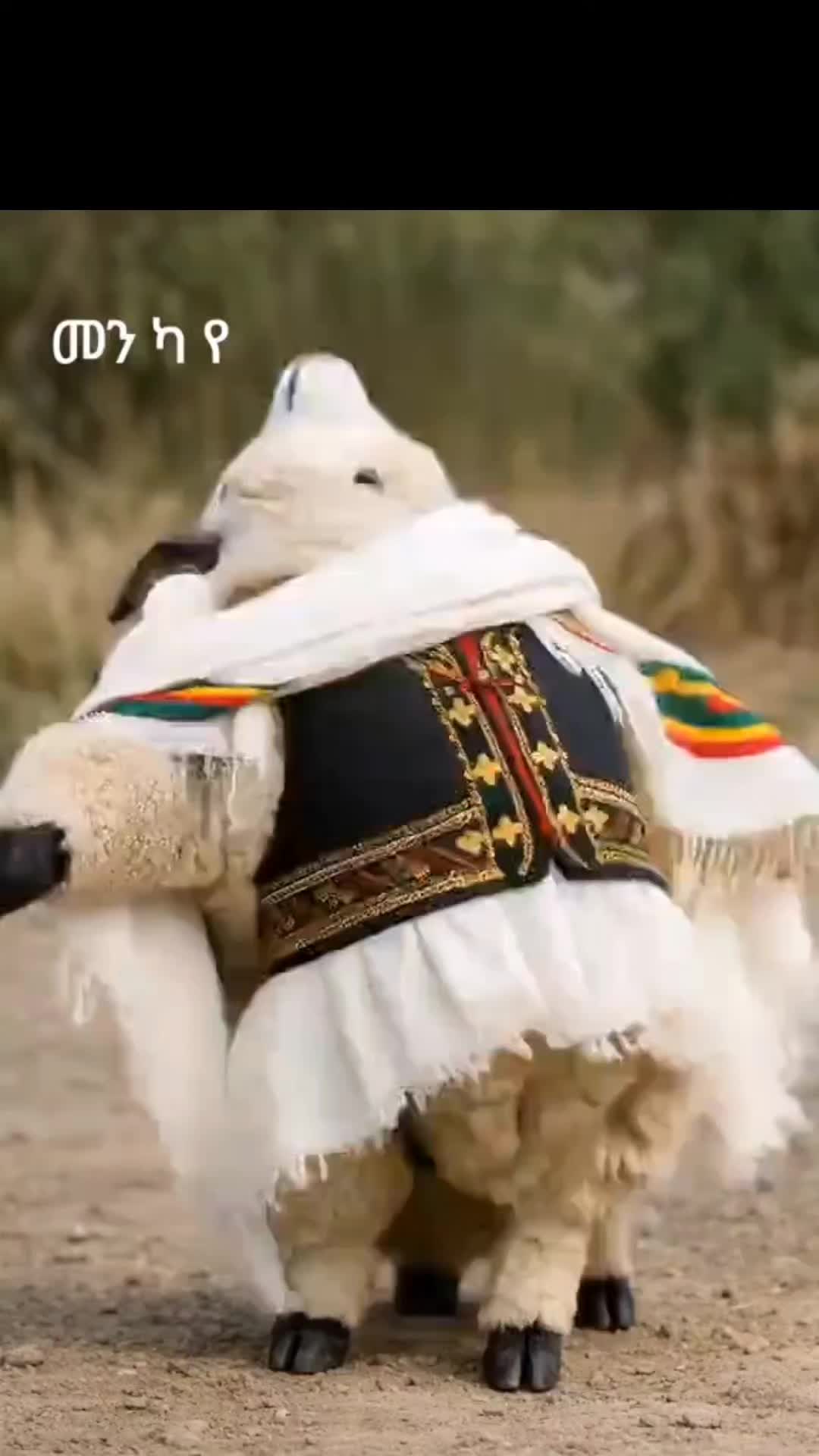 @๐
ฟ๐
ด๐
ฐ๐
ฒ๐
ด๐ช๐ทโค๏ธ๐ตโ๏ธ๐ง๐ผ