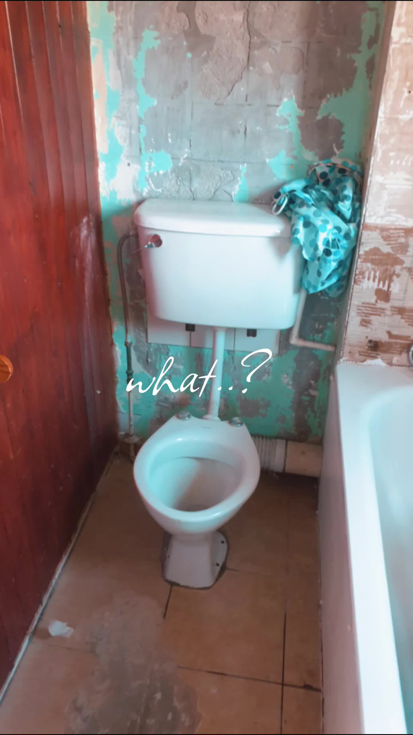 @Willis Building Services Ltd