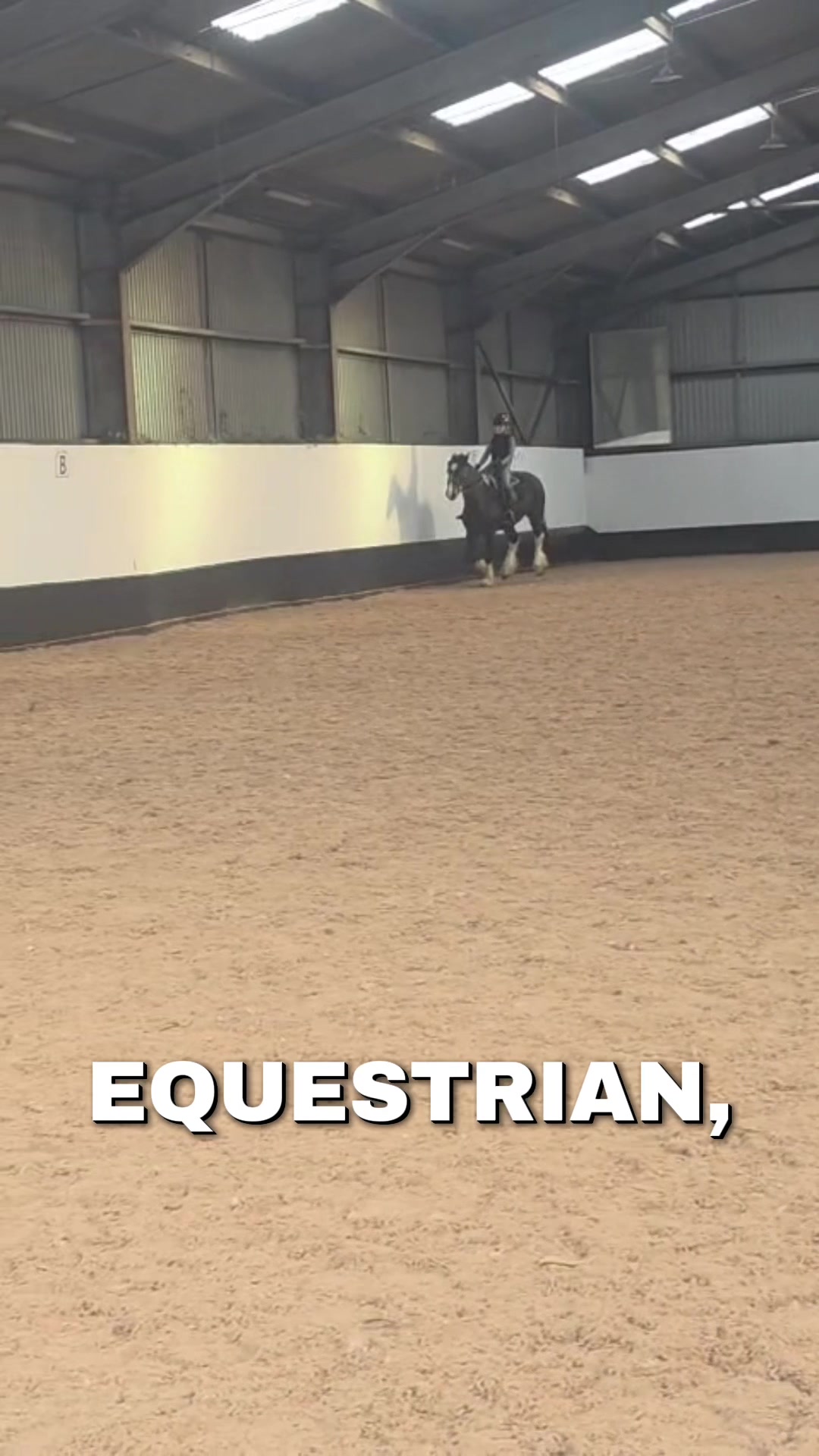 @Emilyy🐎🐴💗