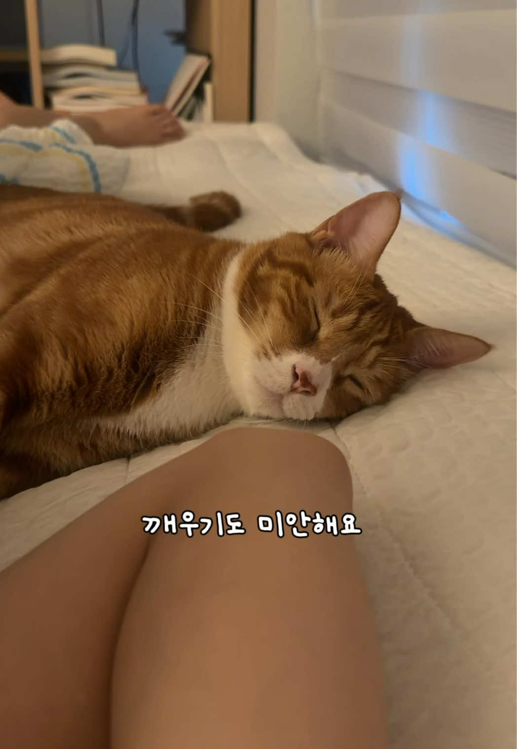 @뮤춘삼