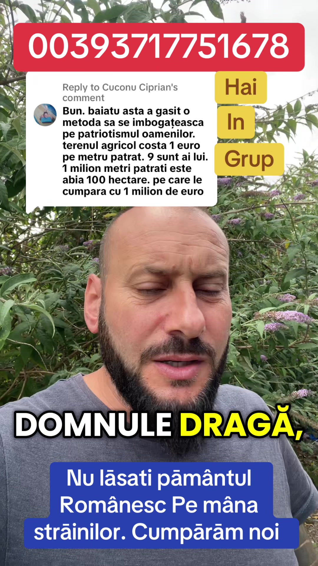 @Mos Craciun