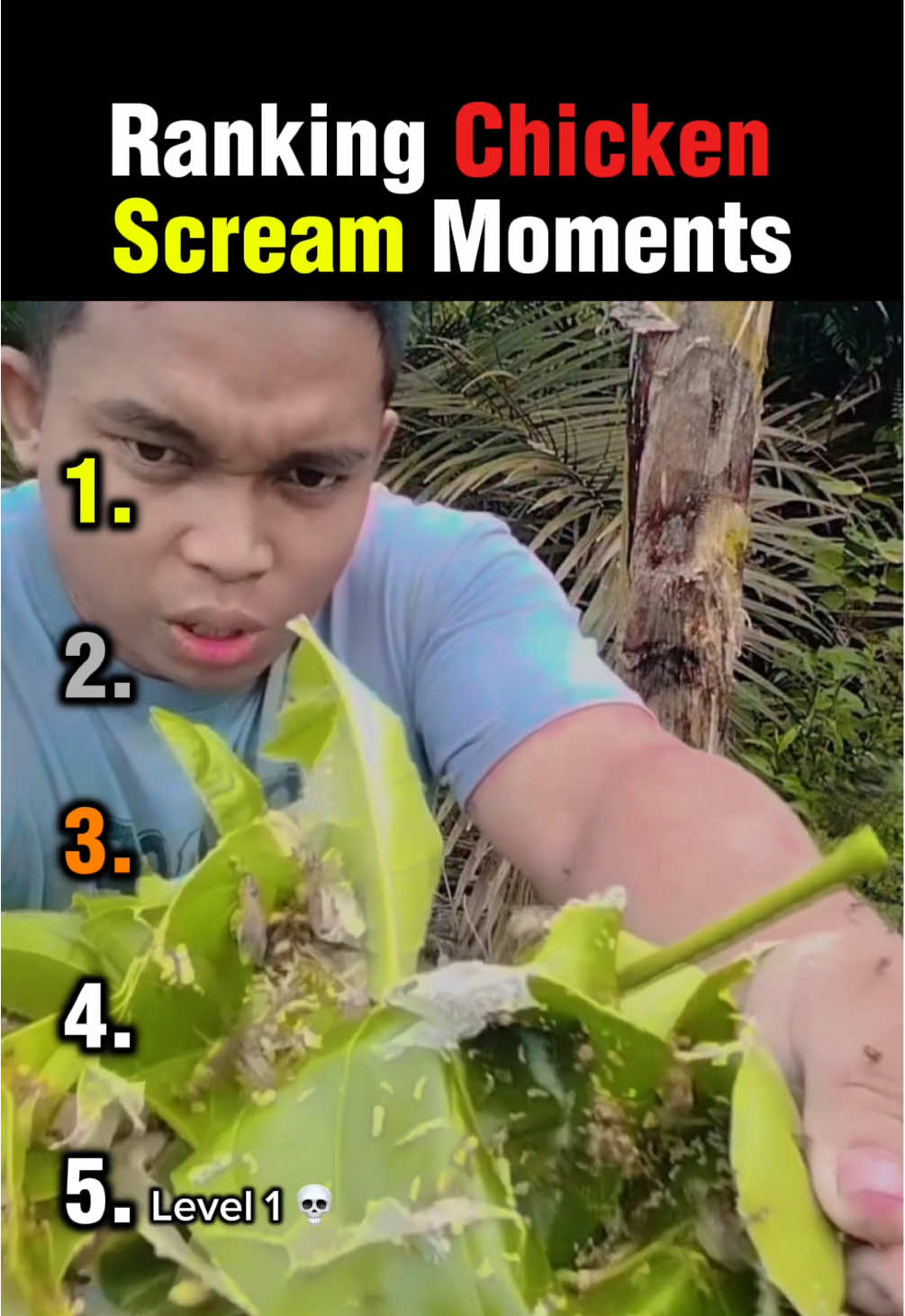 @Memepremeo