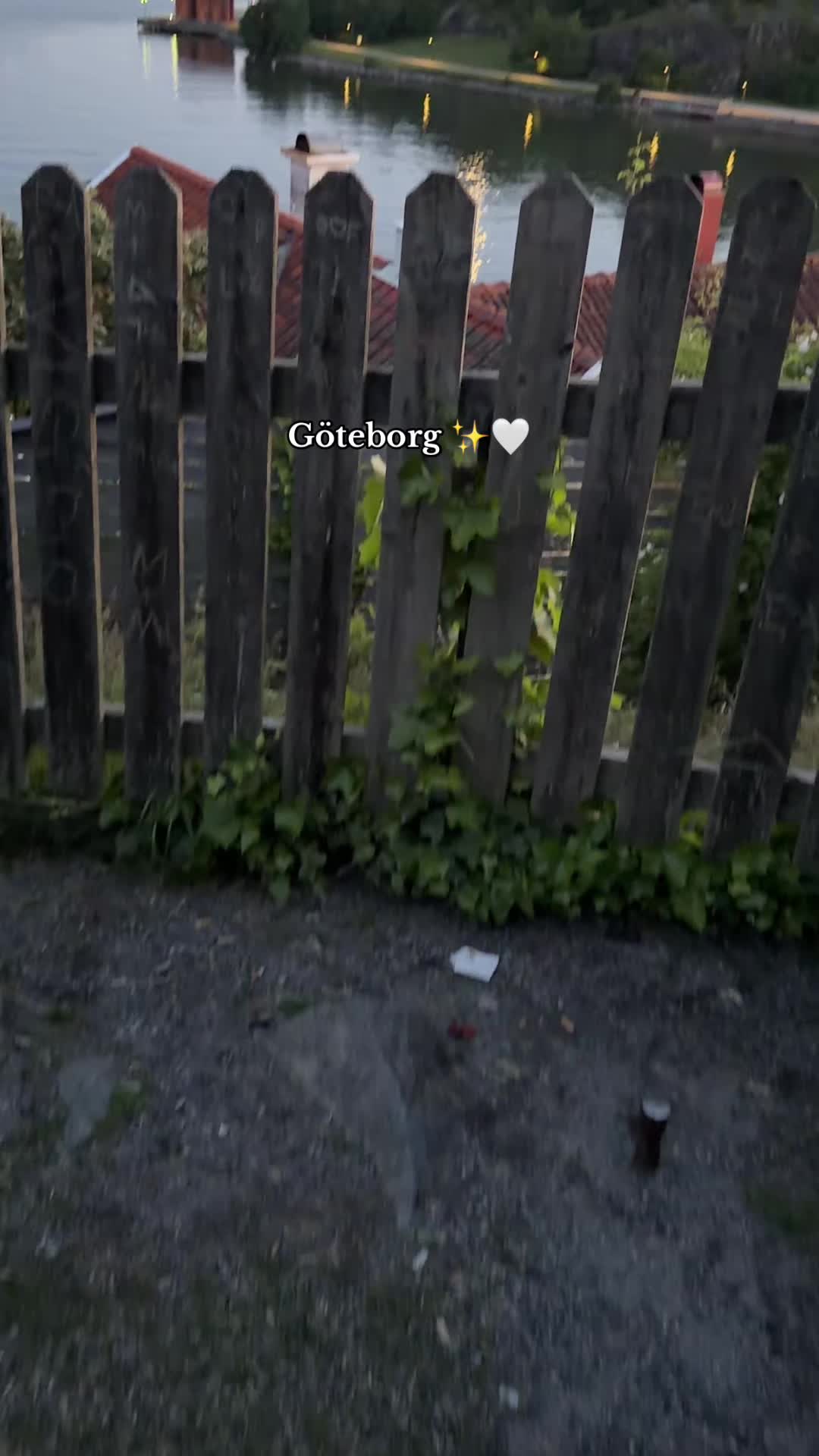 @joee.shots