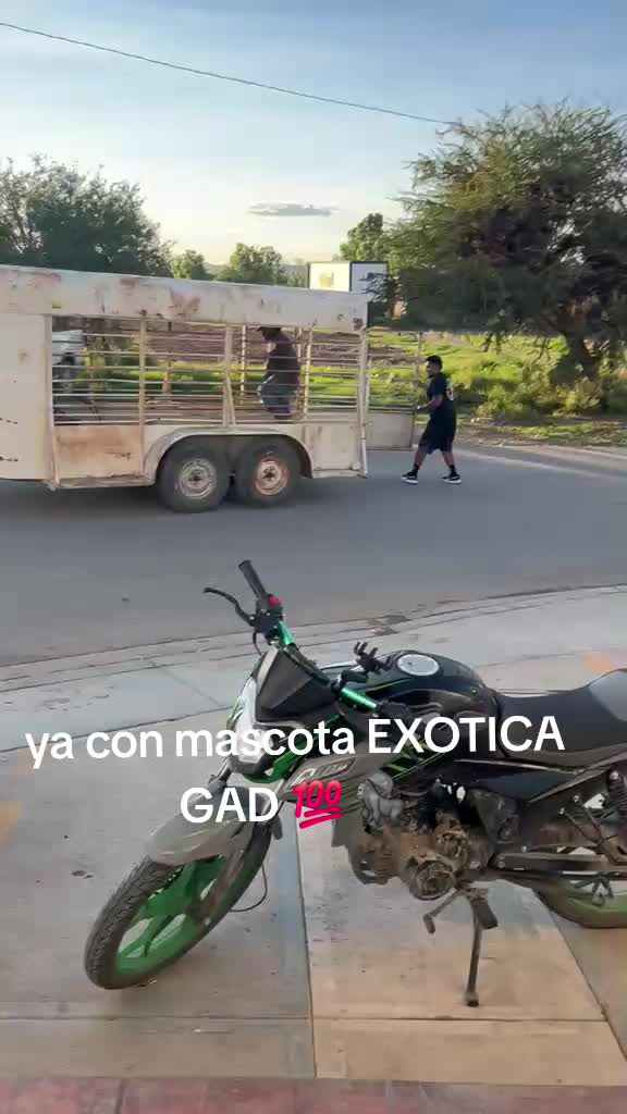 @BarbaCerrada0519