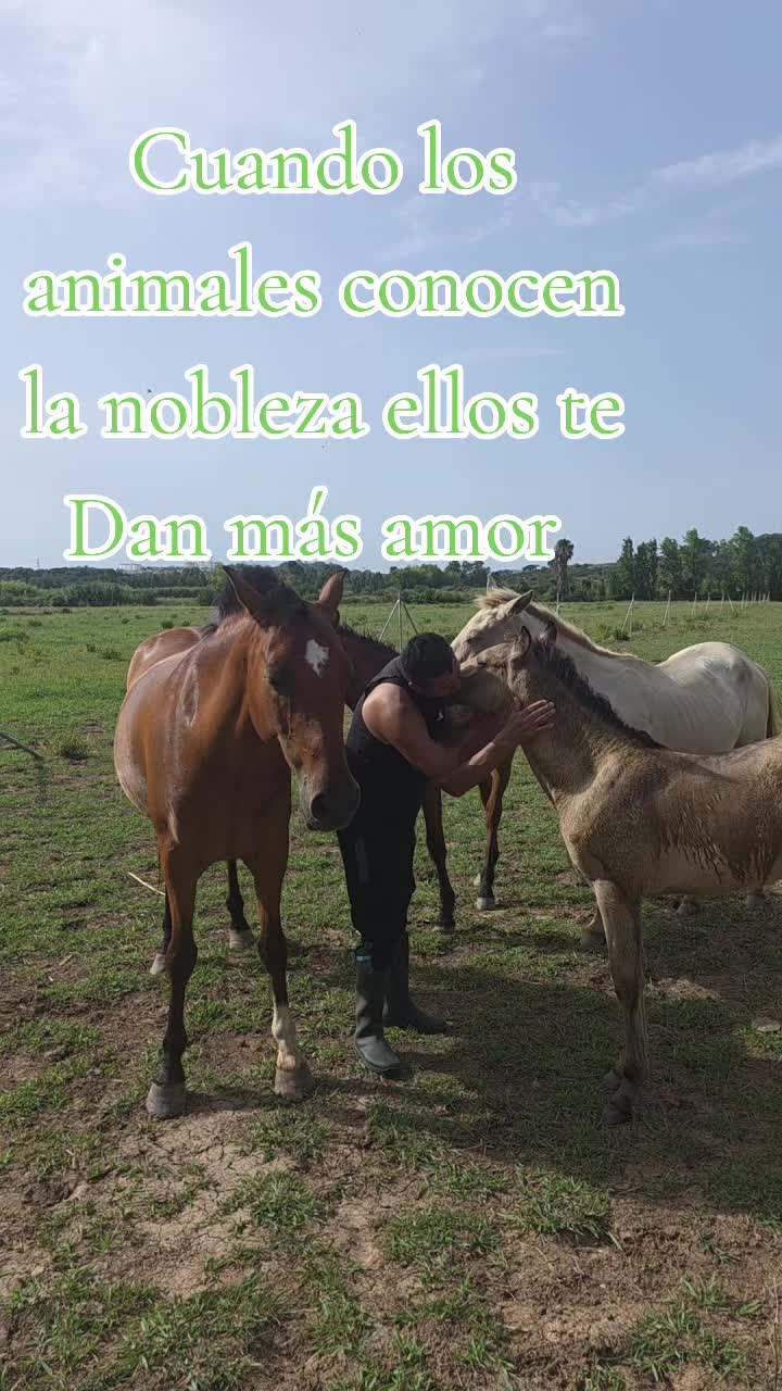 @@rinconlatino