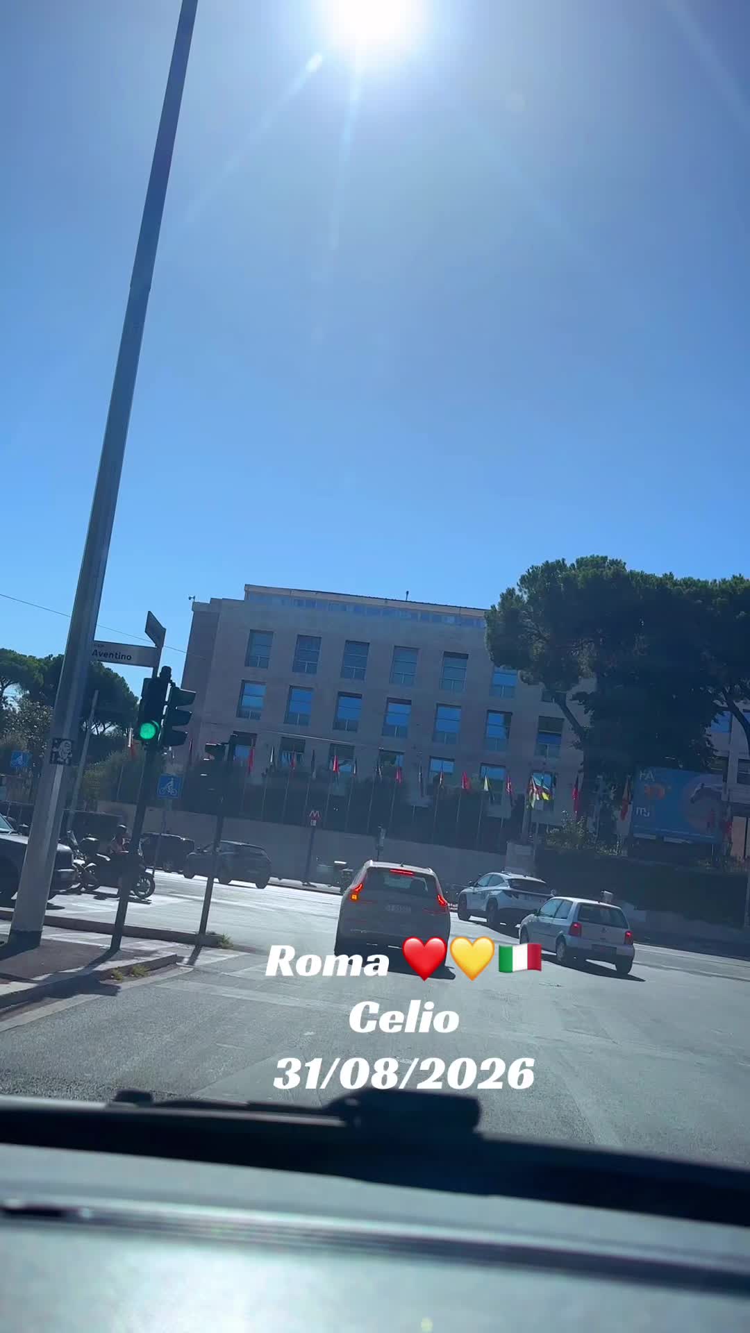 @♥️🐾💛Nina Barboncino ♥️🐾💛