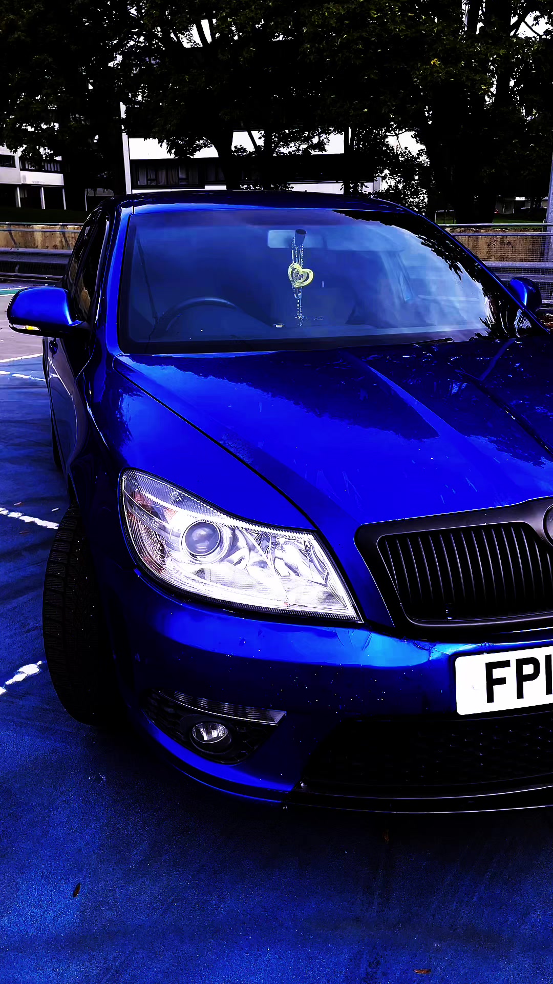 @bluvrs_skoda