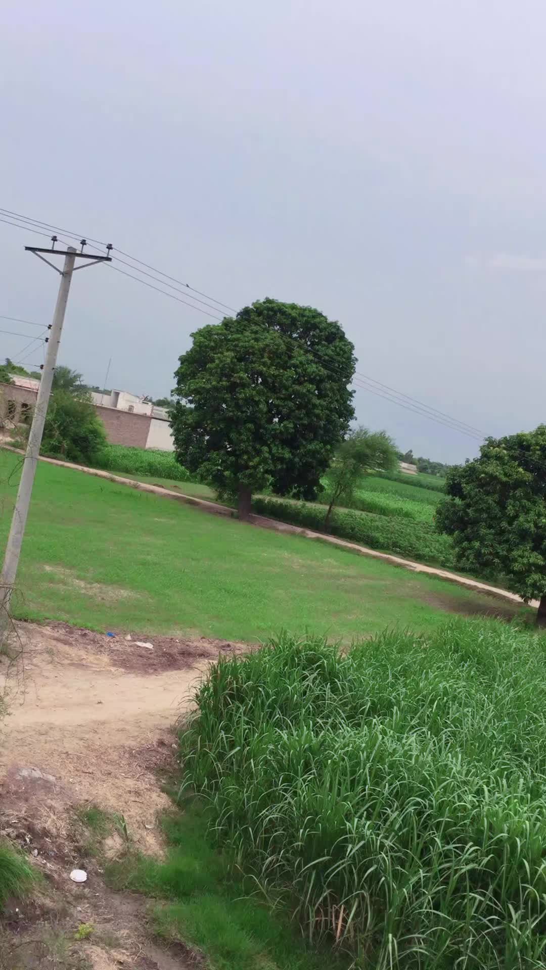 @رانا شہریار راجپوت 🇧🇫