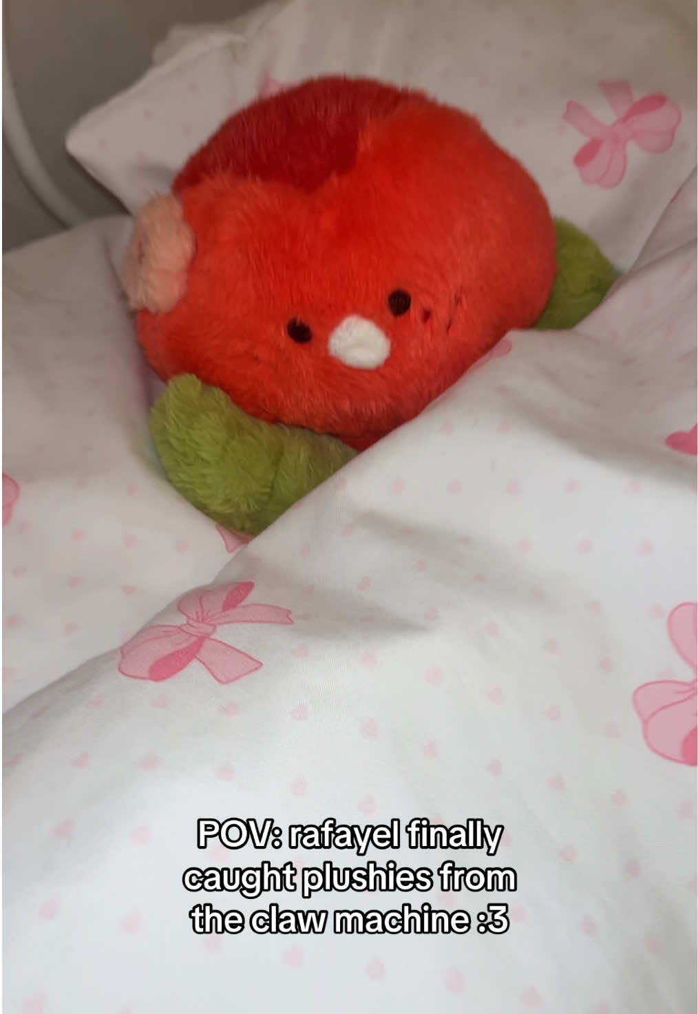 @Judypie •ᴗ•