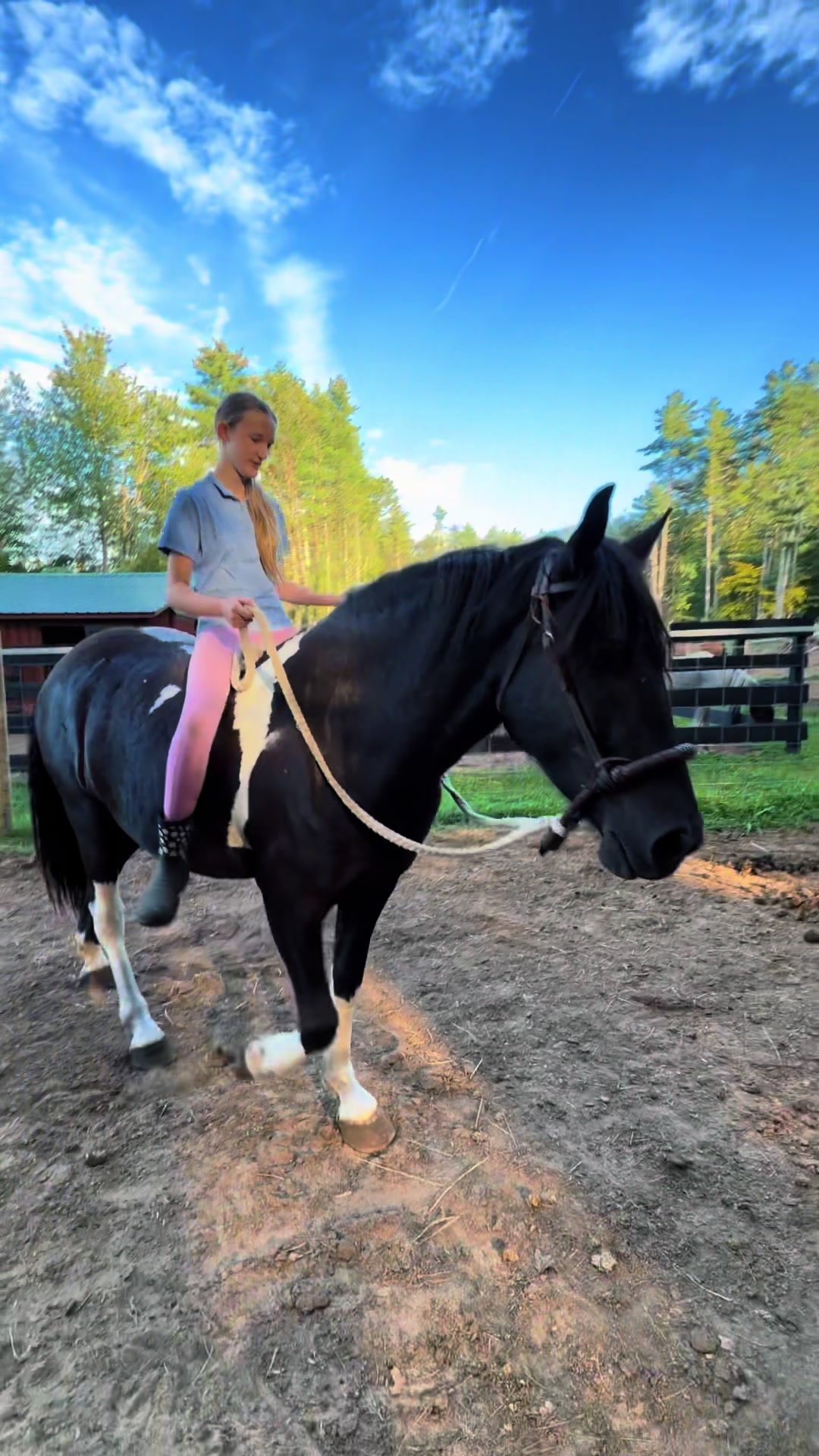 @Unshackled Hearts Ranch