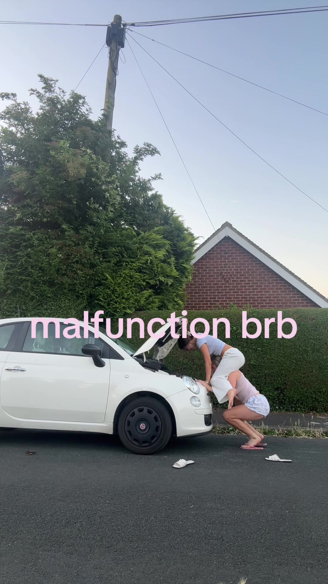 @megs