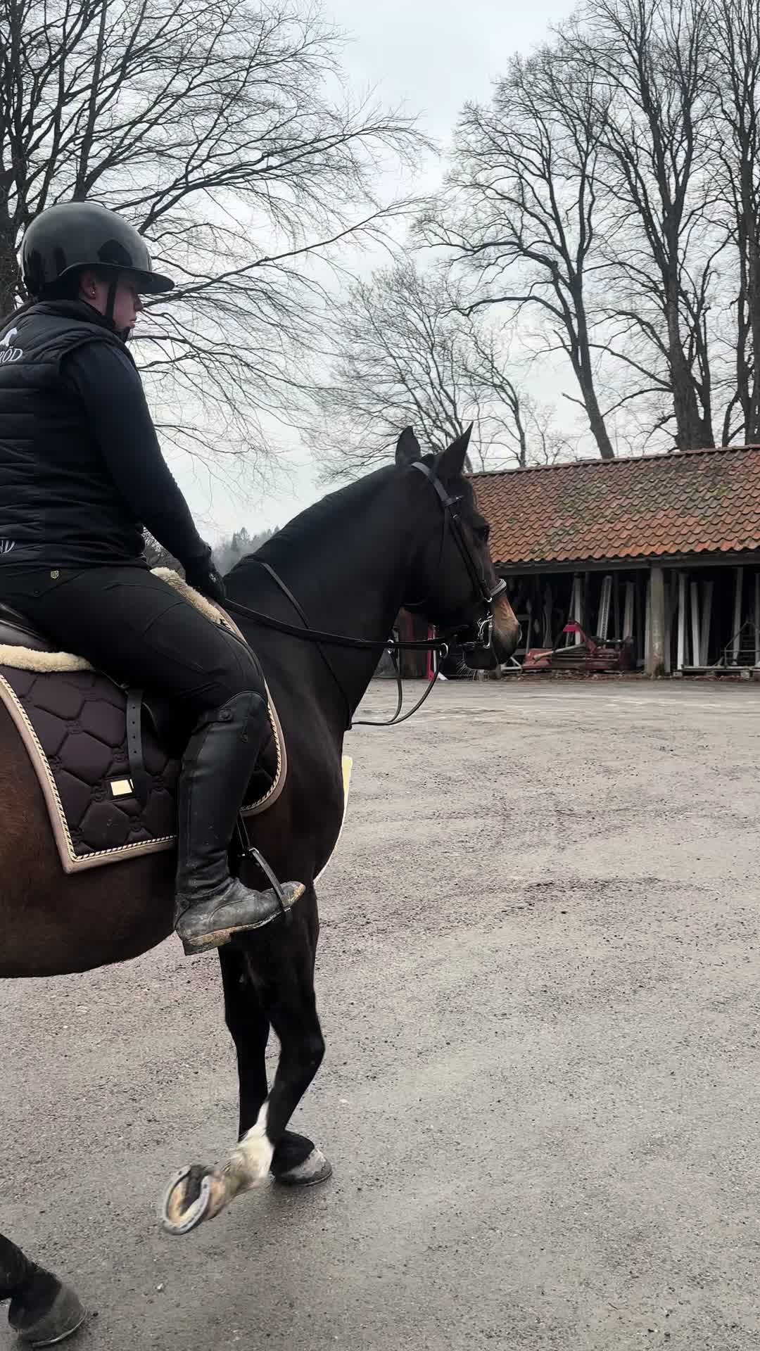 @Tilda Zöller🇸🇪