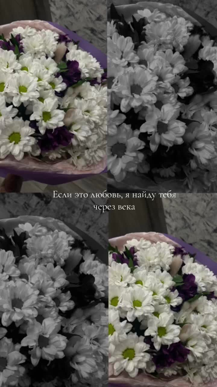 @киса