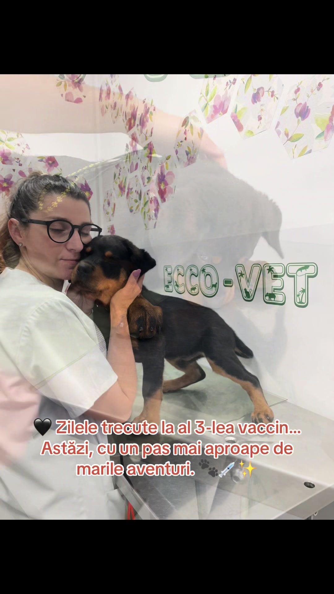 @Ecco-Vet by Dr. Diana Oprea