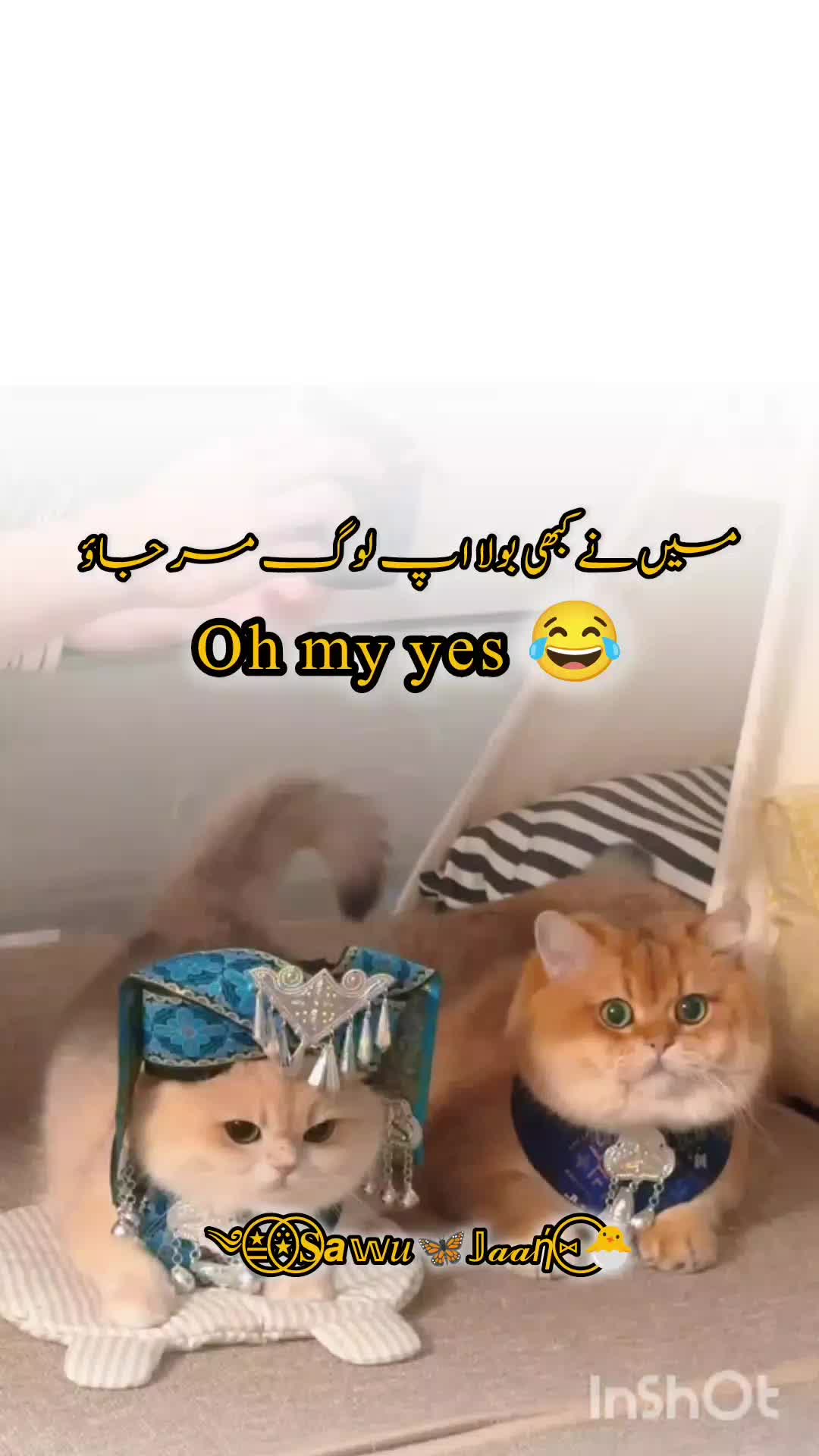 @Sawu Jaan ๐น