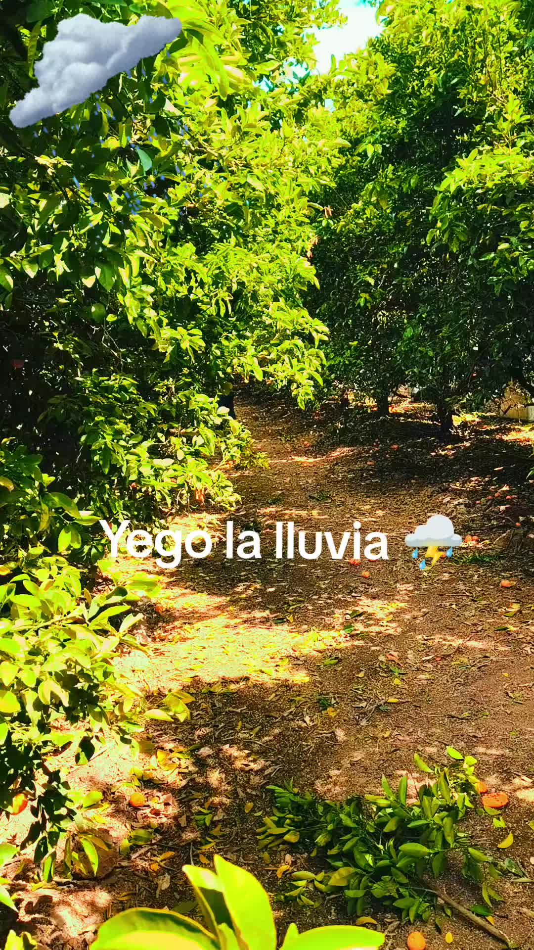 @MAYA SIN ❤️💔❤️